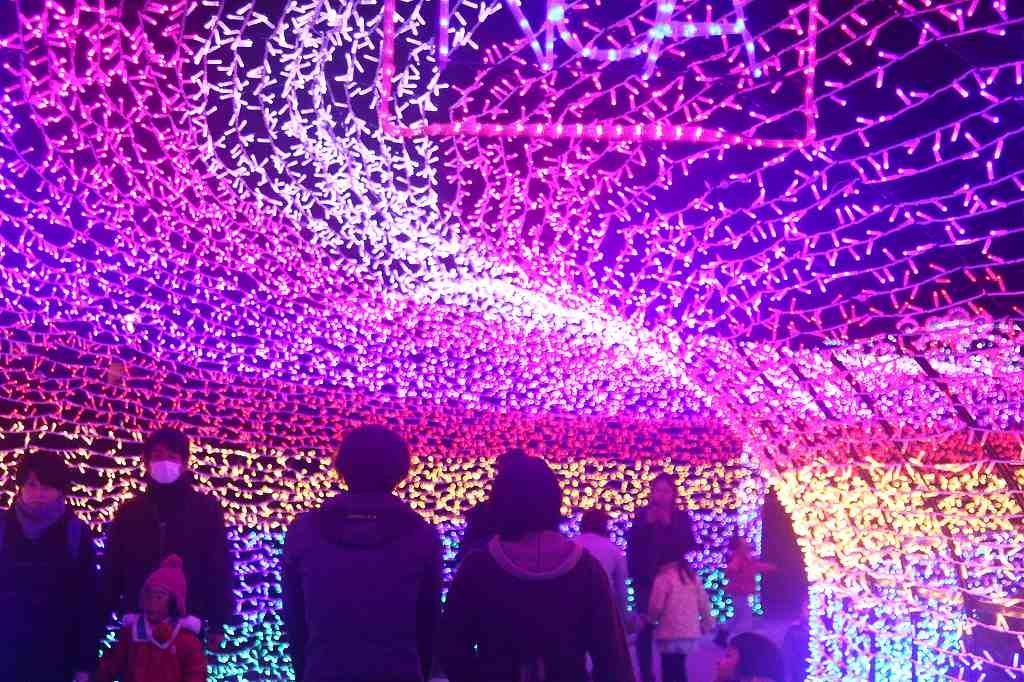 🏞️ 도키와 공원 (Tokiwa Park) 이미지 9